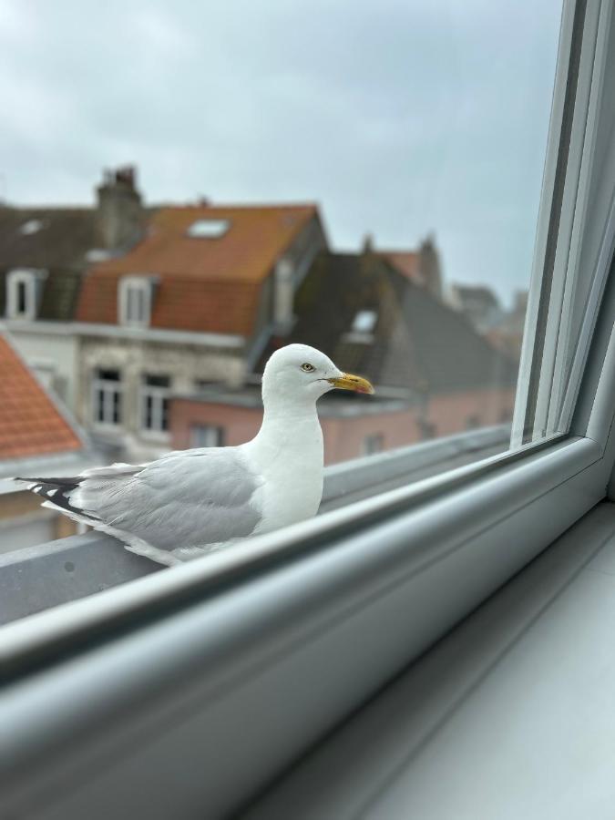 Experience Malouine - Appt T3-Coeur De Malo-Plage Dunkirk Eksteriør bilde
